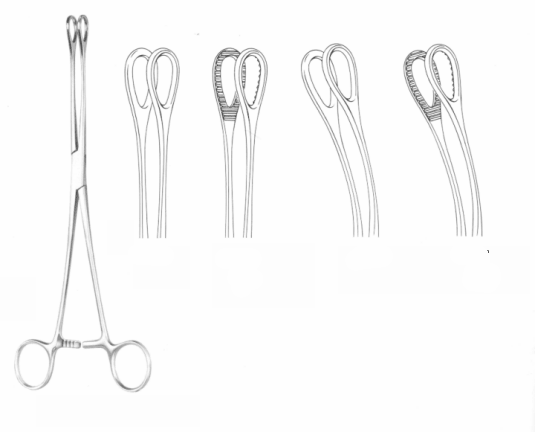  Foerster Forceps